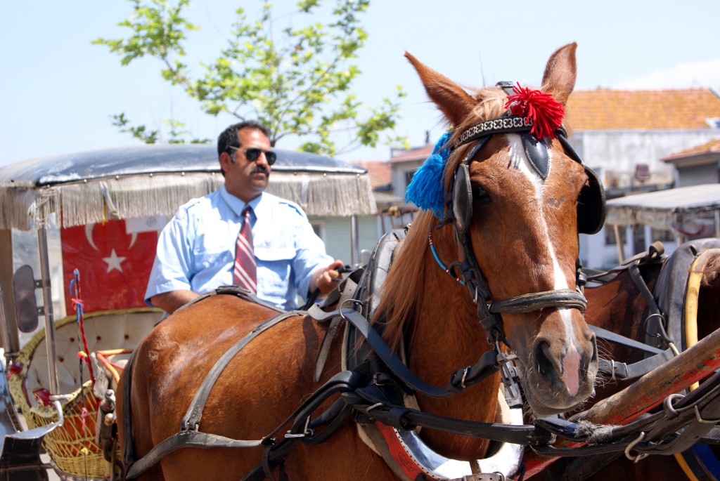 häst och vagn istanbul