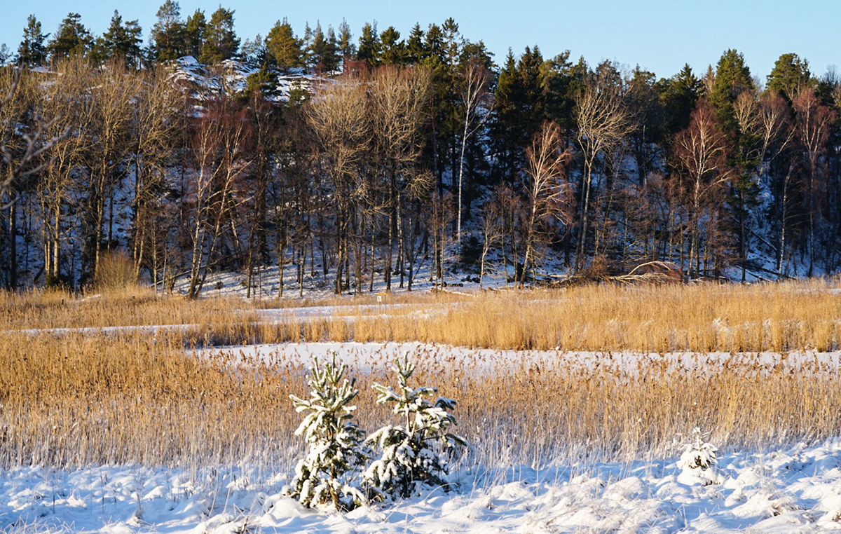 vinter i Nynäshamn