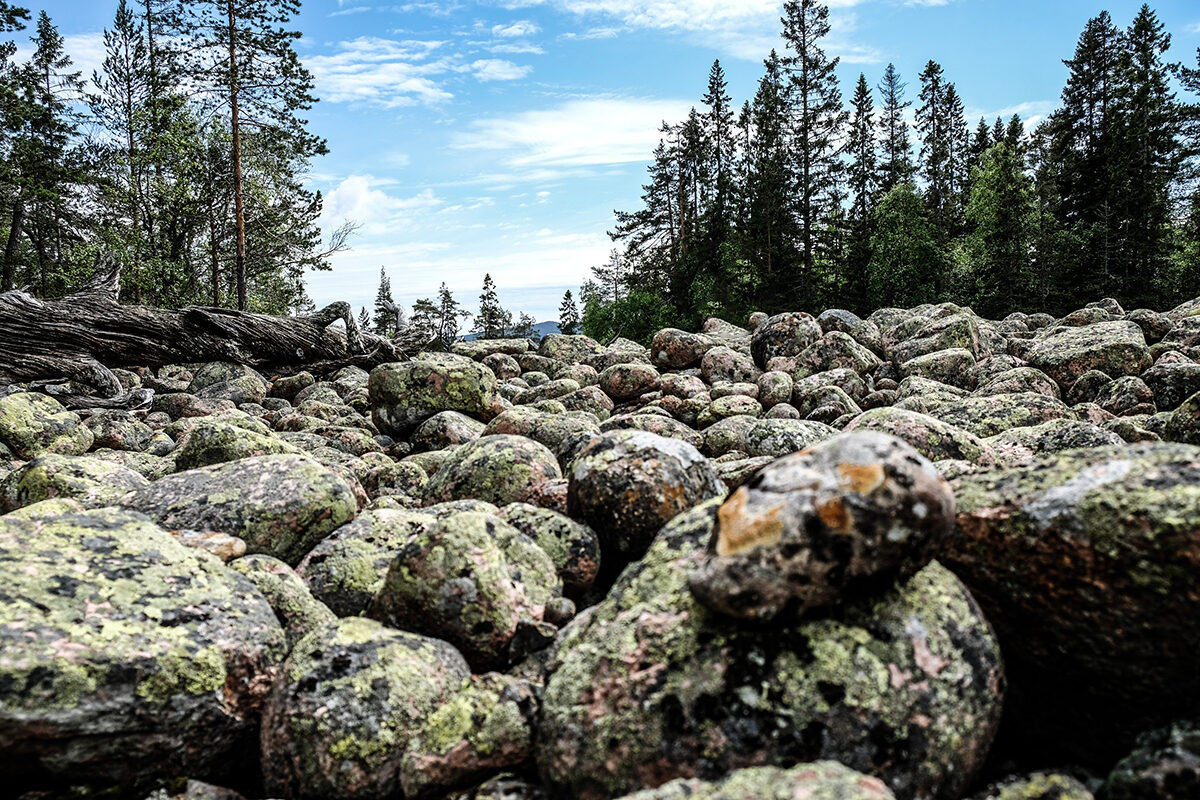 Skuleskogens nationalpark: Sverigemagi vid Höga Kusten