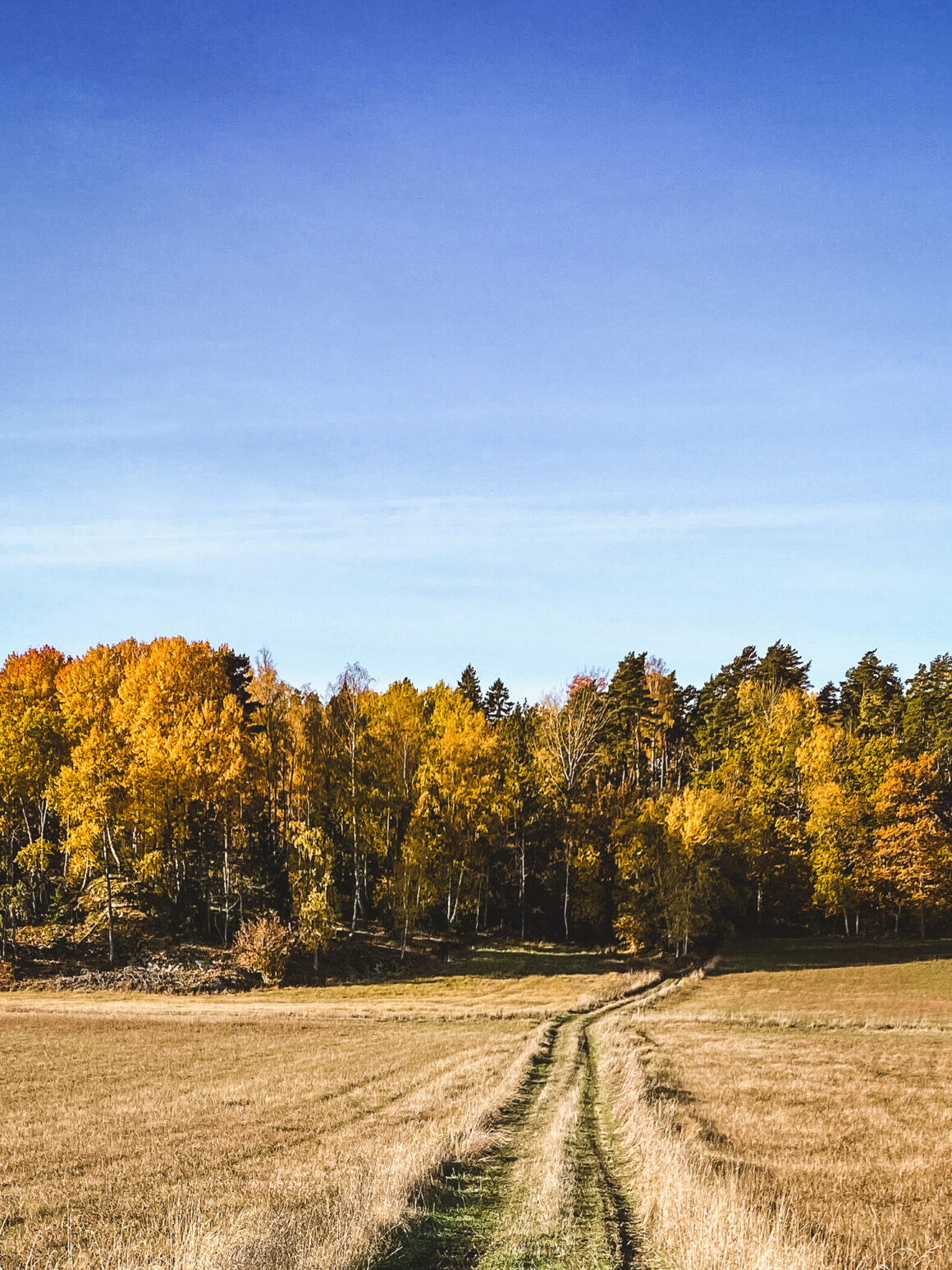 höst nynäshamn sorunda