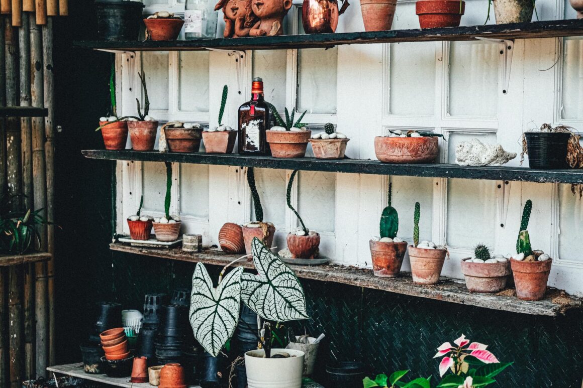 oasis yoga Koh Lanta