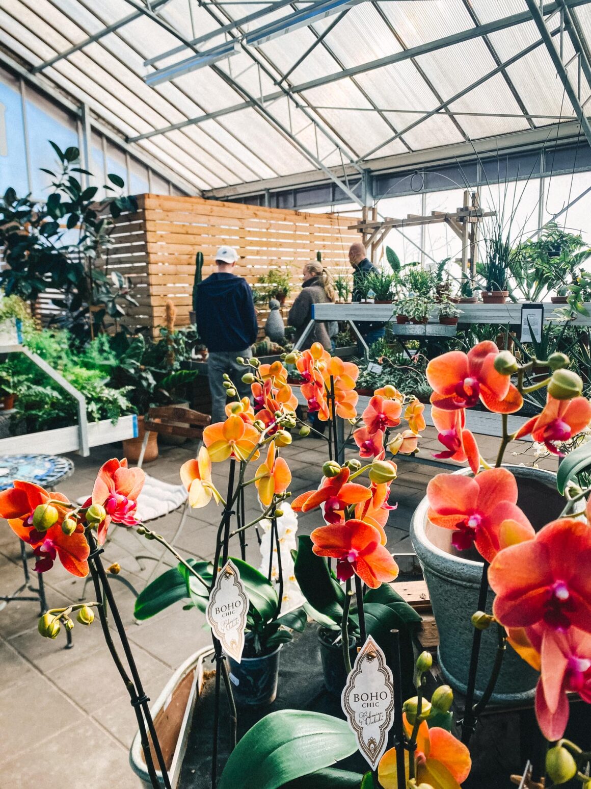ösmo plantshop Nynäshamn