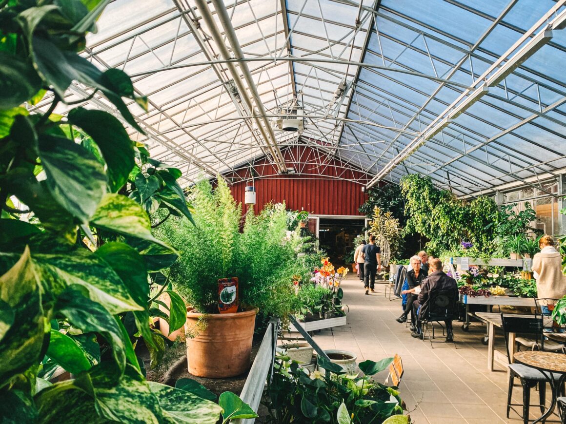 ösmo plantshop Nynäshamn