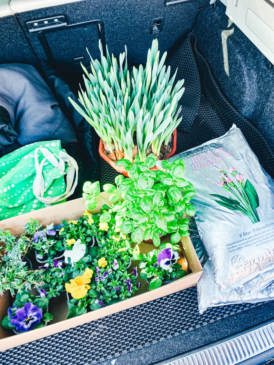 ösmo plantshop Nynäshamn