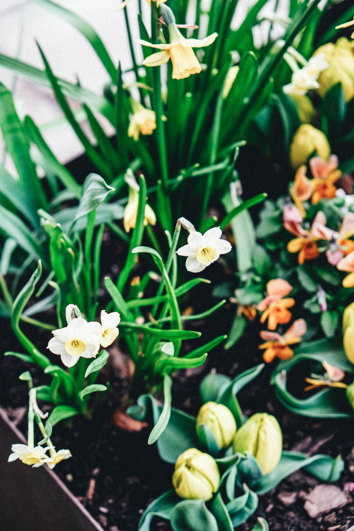 Miss Clara by Nobis Hotell