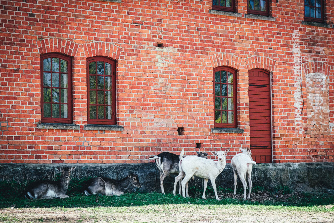 vandra östergötland rängen runt